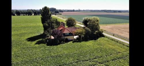 Klaaswaal Bed & Breakfast | B&B de Danser
