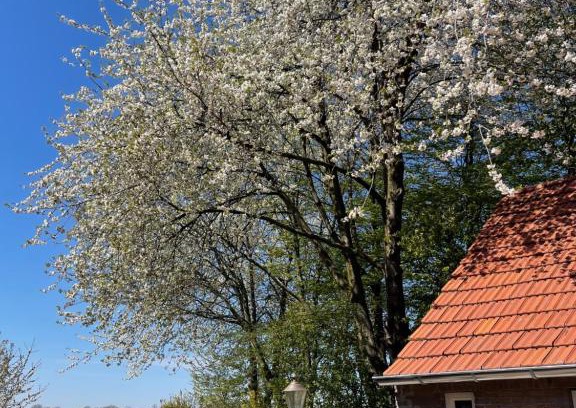 Driel Bed & Breakfast | B&B Driel