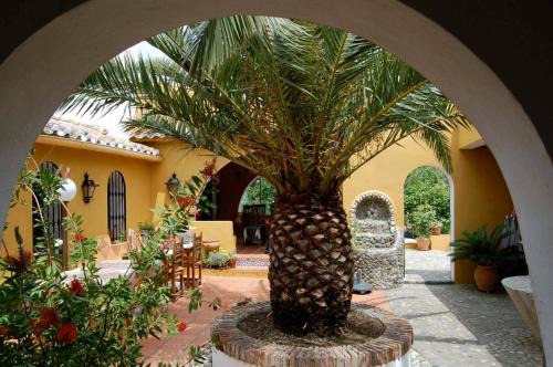 Comares Bed & Breakfast | B&B Finca la Loma