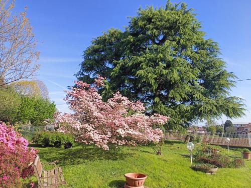 Cadorago Apartment | B&B Il Melograno