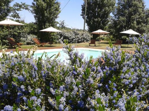 Loubens-Lauragais Bed & Breakfast | B&B La Ferme de Loubens