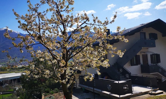 Darfo Boario Terme Bed & Breakfast | B&B La Mela - Accoglienza Emiliana in Val Camonica