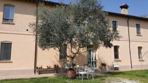 Russi Bed & Breakfast | B&B La Palazza