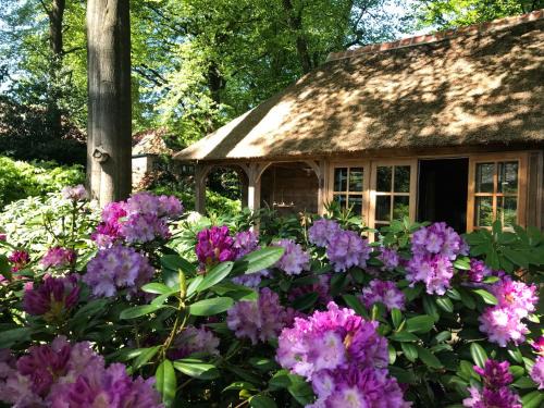 Doorn Bed & Breakfast | B&B La 'Petite Bergerie'
