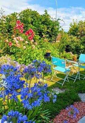 Hokitika Bed & Breakfast | B&B on Bealey