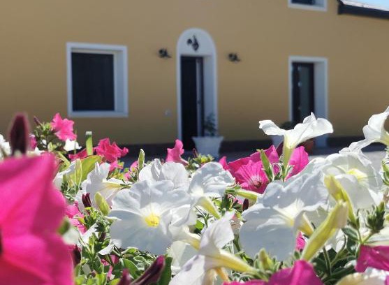 Tresigallo Bed & Breakfast | B&B Riva del Gallo