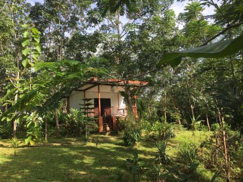 Ban Wang Hom House | Baansuan Suksangob Farm Stay