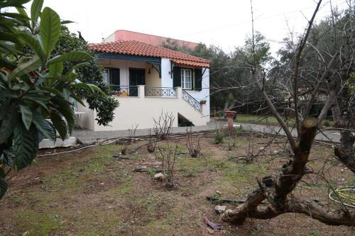 Selinia House | Babis Garden Salamina