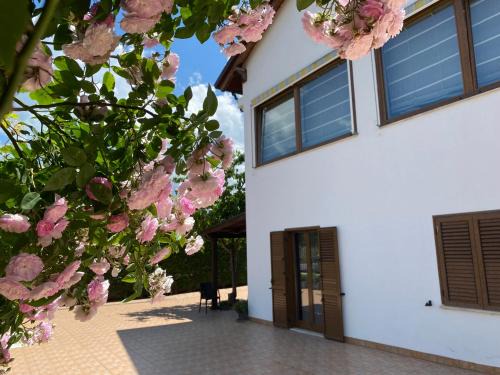 Quattromiglio Bed & Breakfast | BaCar b&b