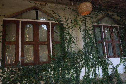 Basirhat Other | Backpackers eco village