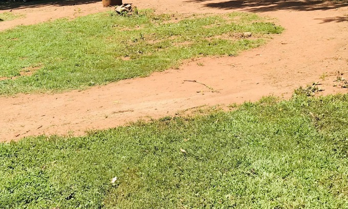 Winston - Salem RV Rental | Backyard camping tent