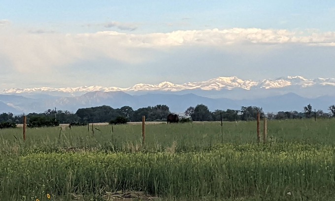 Commerce City Apartment | Bad Dog Farm - 420 Tranquil retreat, minutes from major retail and restaurants
