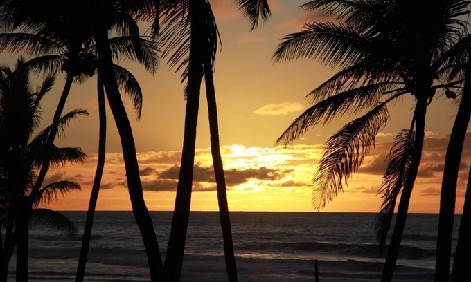 Vilas do Atlantico House | Bahia Beach Front House