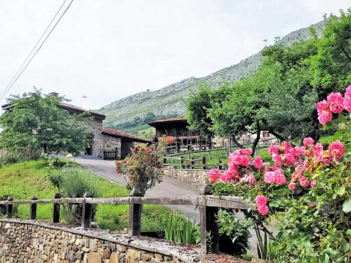 Aller House | Baldevenero