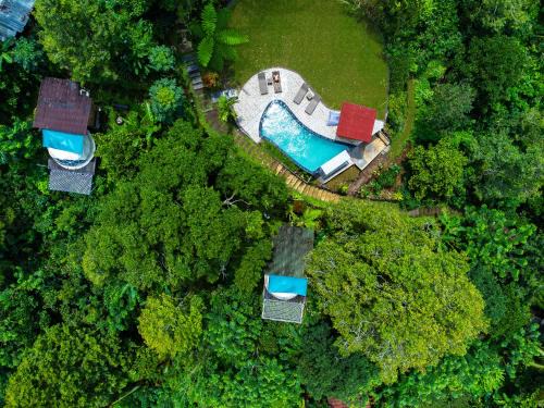 Pupuan Resort | Bali Jungle Camping by Amerta Experience