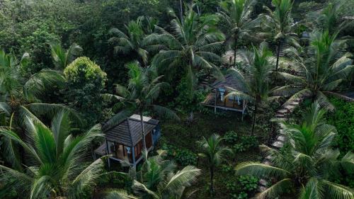 East Selemadeg Cabin | Bali Secret Jungle