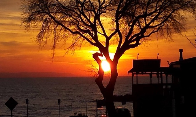 Balm Beach Hotel | Balm Beach Resort & Motel