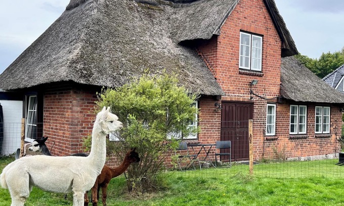 Kuhlbusch House | Baltic Sea - Romance. Vacation home/vacation apartment near Scharbeutz and Eutin with alpacas