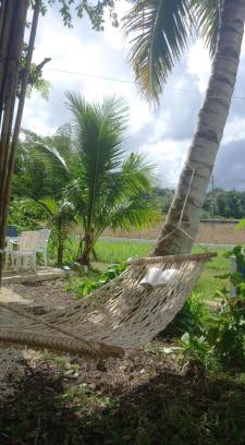 Carmen House | Bamboo Garden Tourist Inn