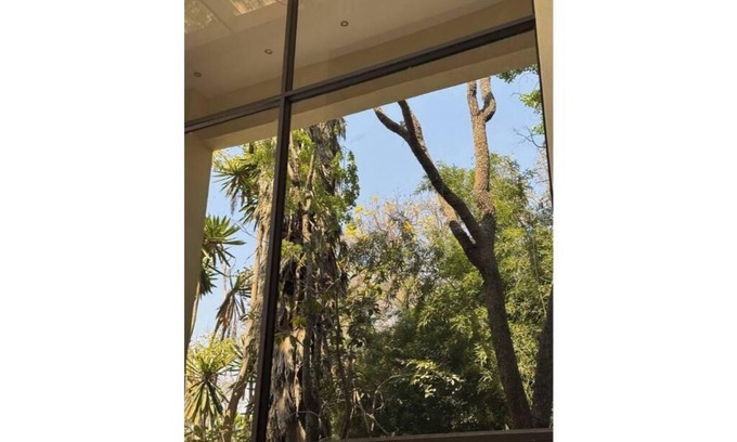 Harare Apartment | Bamboo-view Breeze Nest