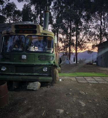 Southern Boat Rental | Banksia Bus