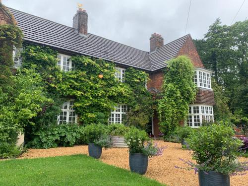 Tackley House | Banksiae