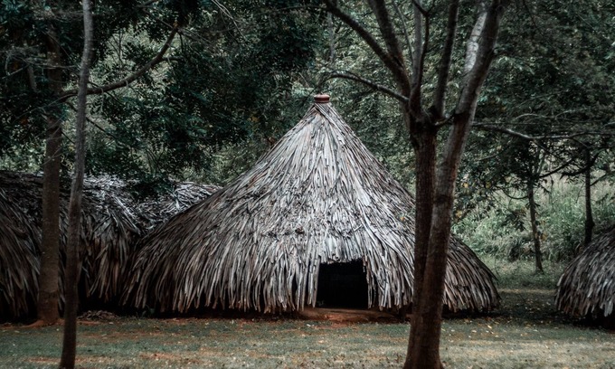 Hambegamuwa Cottage | Banyan Camp Huts Eco Retreat on Full Board Basis