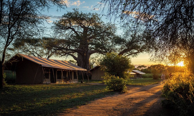Tarangire National Park RV Rental | Baobab Tented Camp