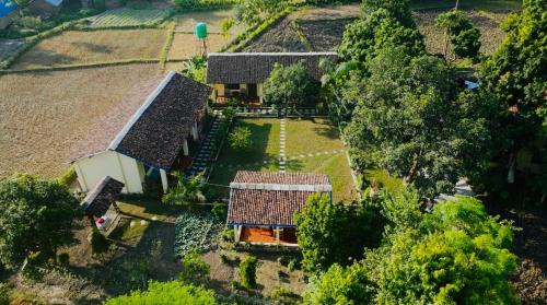 Bardia House | Bardia Eco Friendly Homestay