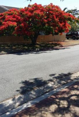 Clontarf Bed & Breakfast | Baringa Bed & Breakfast