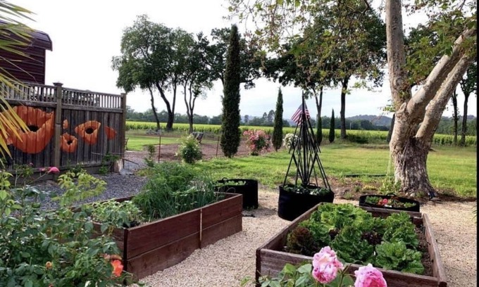 Santa Rosa House | BARNITA: Vineyard view / Quiet Country Setting.