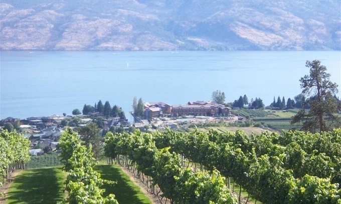 Westbank House | Barona Beach Lakefront Luxury in front of world class wineries