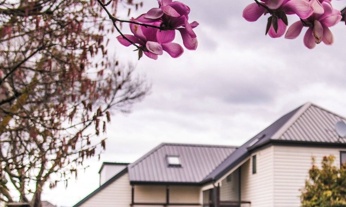 Riccarton House | Bartlett By The Park - Location and Comfort Last minute specials