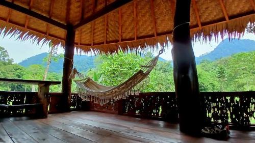 Bohorok House | Batu Kapal Guest House & Jungle trekking