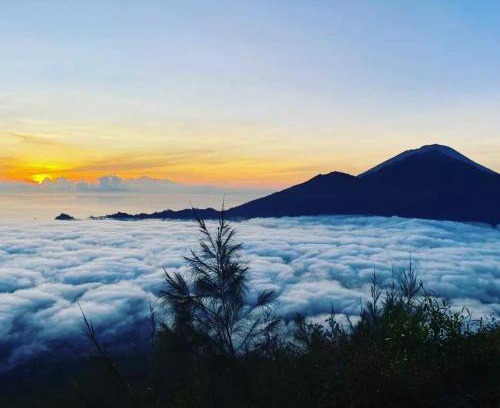 Toya Bungkah Bed & Breakfast | Batur tropis