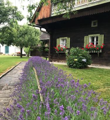 Sankt Martin im Sulmtal House | Bauernhaus Südsteiermark - Weststeiermark, Weinstraße, Radfahren, E-Bike, Feiern mit Familien & FreundInnen