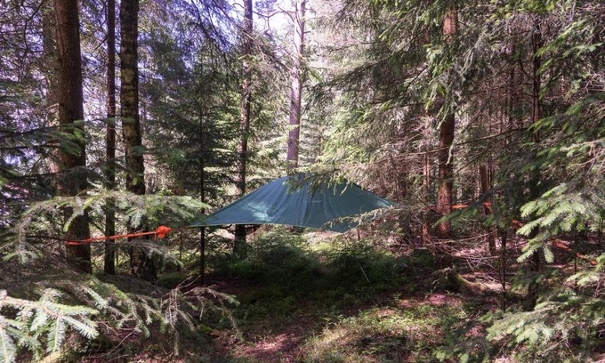 Regen Bed & Breakfast | Baumzelt im Wald