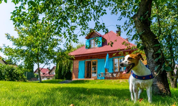 Puck House | Bay House Puck