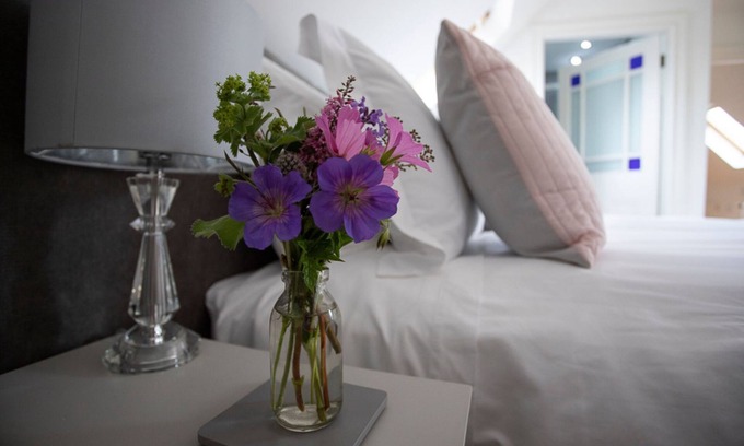 Hillsborough Cottage | Bay Tree Cottage with countryside view