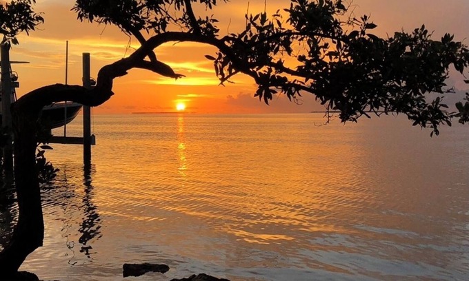 Indian Waterways Villa | Bay view villa in Islamorada, palm trees, shade trees and two private porches