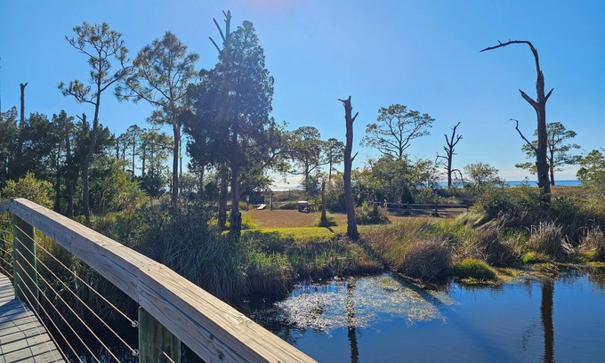 Magnolia Bluffs House | Bayside Retreat w/bay access! Dogs OK, Large Pond, Lots of Wildlife!