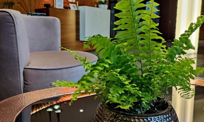 Koscierzyna Hotel | Bazuny Hotel&Spa