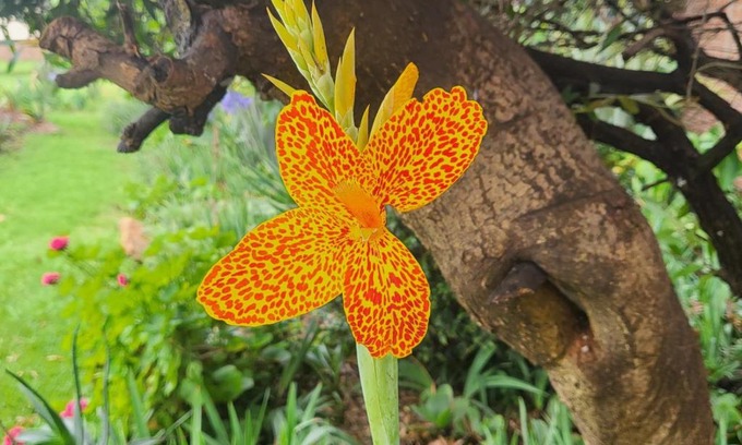 Kempton Park Apartment | Be our guest on 2nd