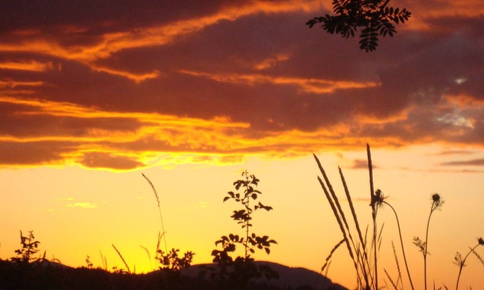 Courtenay Cabin | Beach Bum Cabin with awesome water views, sunsets and bird watching.