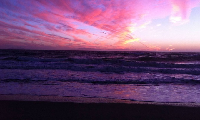 Hollywood Beach House | Beach Classic & Tropical Backyard Bliss!