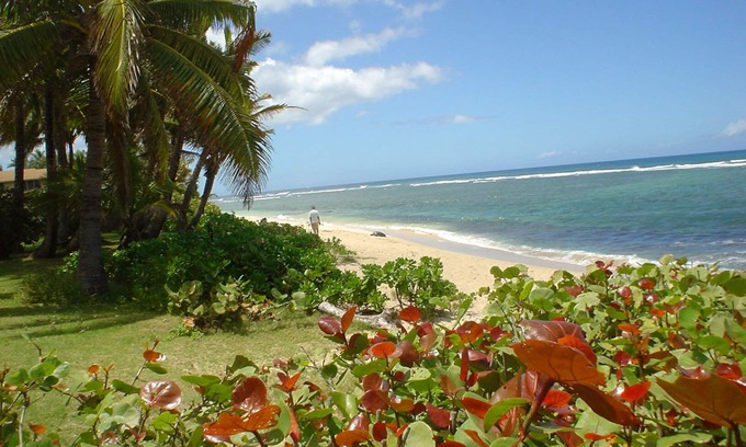 Mokuleia House | Beach Front Estate With Guest Cottage Sandy Beach Heated Pool/Spa