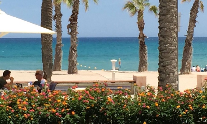Playa de San Juan Apartment | Beach of San Juan Alicante, suitable swimming pool, wifi, A. C and parking