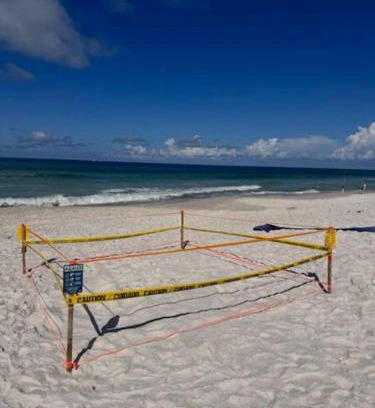 Biltmore Beach House | Beachcomber - Beachfront With Pool And Hot Tub - On The Beach!
