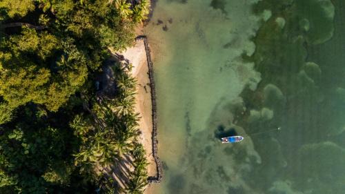 Isla Bastimentos House | Beachfront House - Sleeps 2 & Garden Access