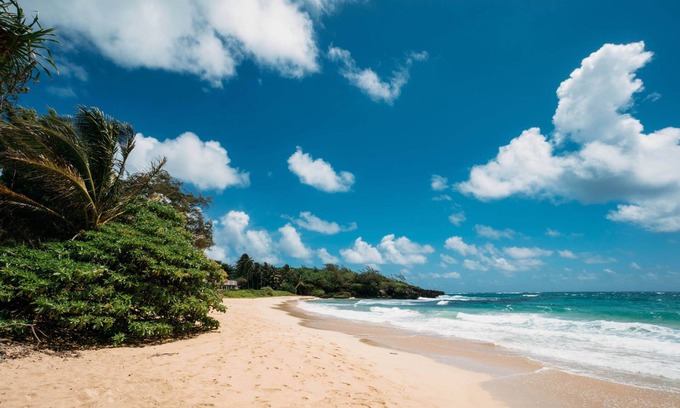 Hauula House | Beachfront Private, N. Shore & Legal Vacation!